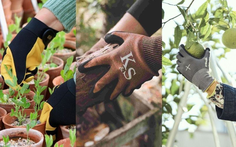 Whether it’s to stop soil getting under your fingernails or to protect yourself from stings and brambles, a good pair of gardening gloves is essential. Alex Mitchell has tried and tested the best gardening gloves for 2024. buff.ly/3yhSUAD