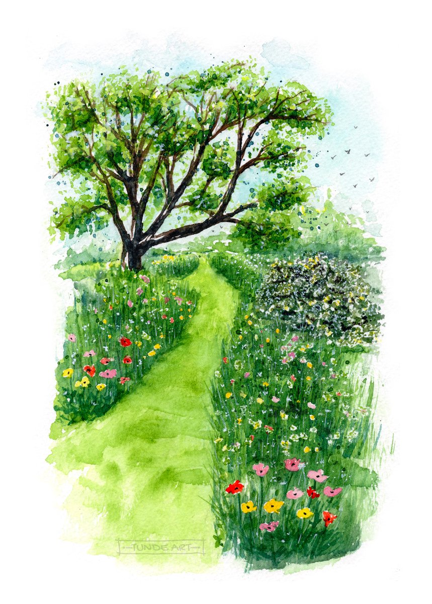 Listen to the buzzing sound of nature. During ‘No Mow May’ verges and green spaces are being left to grow allowing flowers and wild grasses to develop to support pollinators. 

#nomowmay #nature #greenspace #watercolour #tundeart #countryside #garden