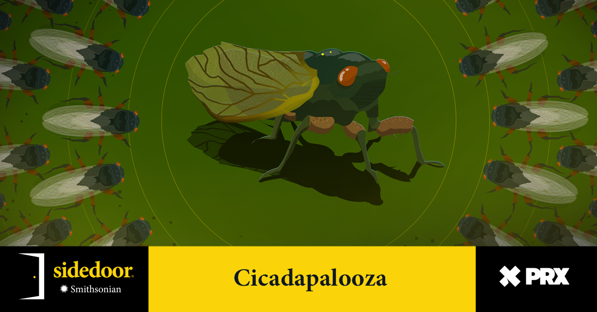 The cicadas are back for some fun in the sun, and this time, they’re louder than ever! For the first time since 1803, Broods XIII and XIX will be emerging at the same time, covering the American South and Midwest with trillions of cicadas. 🔊: apple.co/342vBGy