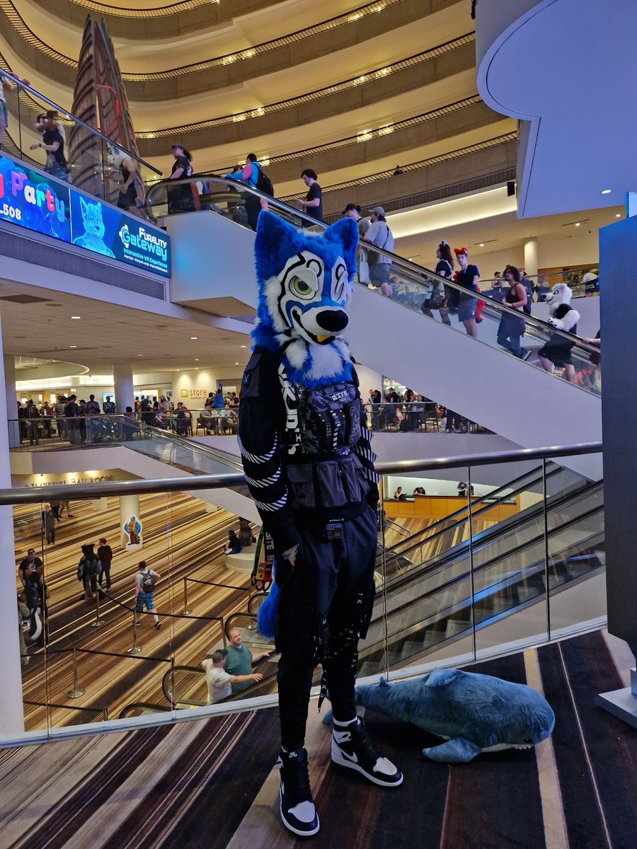 Holy shit This came out better then expected @howl_out knows the best 🖤💙🤍 #FWA2024 #fursuit