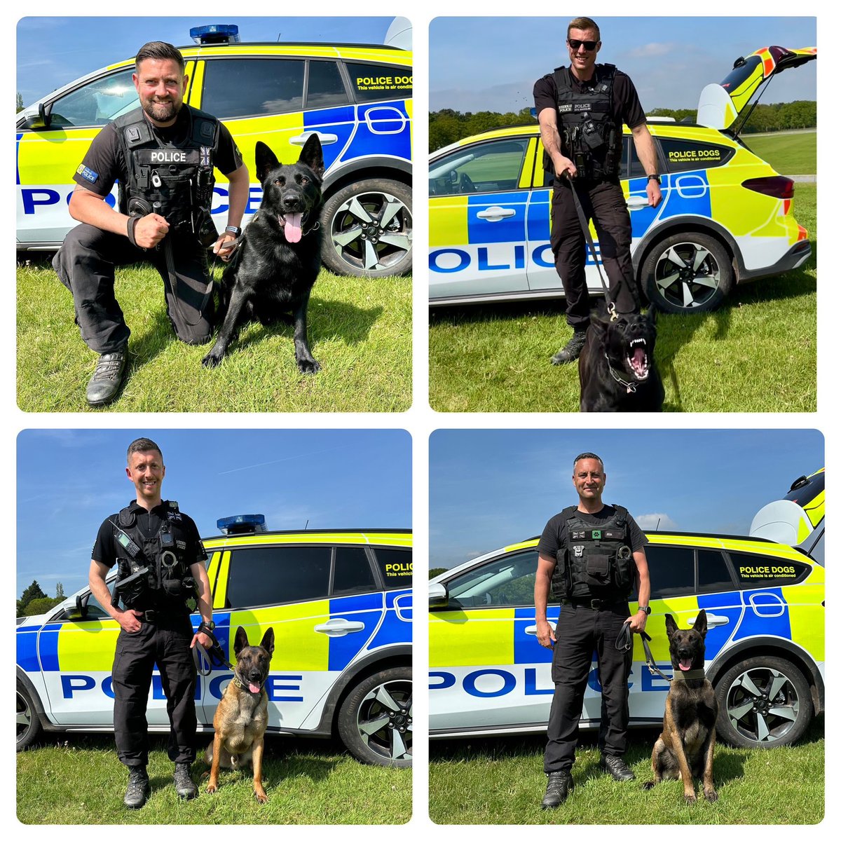 Congratulations to PD Vandal and PC Banks, PD Freya and PC Shawcross, PD Tag and PC Evans and PD King and PC Cross who all passed their initial licensing today! They’ll all be out and about across Cheshire and North Wales very soon!