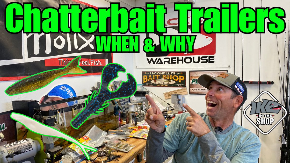 TRAILERS for Bladed Jigs!!! In this week’s shop I cover EVERYTHING you NEED to know when picking a trailer for your favorite bladed jig!!! mikeiaconelli.com/bass_fishing_v… @BerkleyFishing @Abu_Garcia @TackleWarehouse #Ike #Ikeapproved #NeverGiveUp #IkeintheShop
