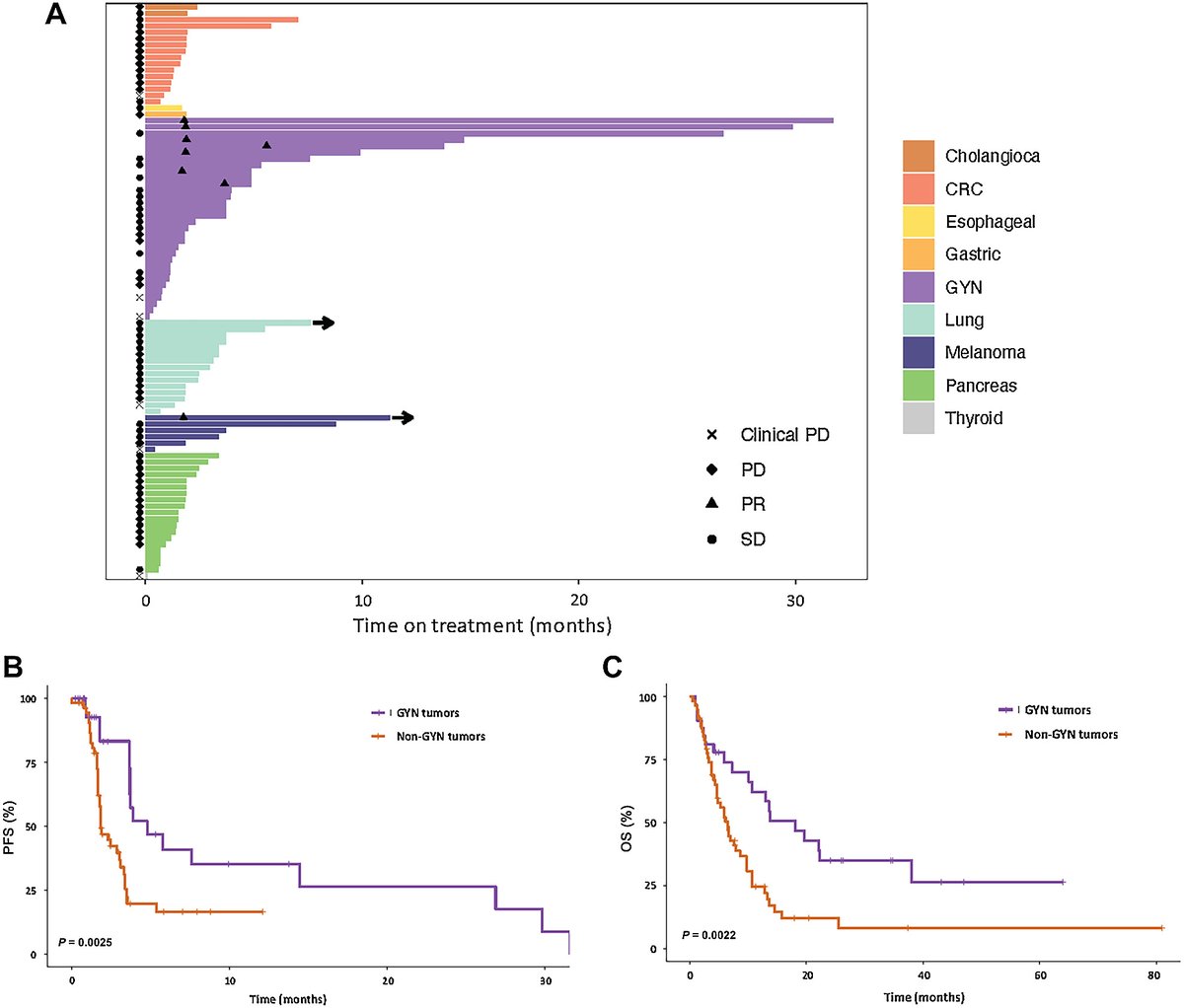 Phase I/II Study of Combined BCL-xL and MEK Inhibition with Navitoclax and Trametinib in #KRAS or NRAS Mutant Advanced Solid Tumors. 
bit.ly/4bsFMHk