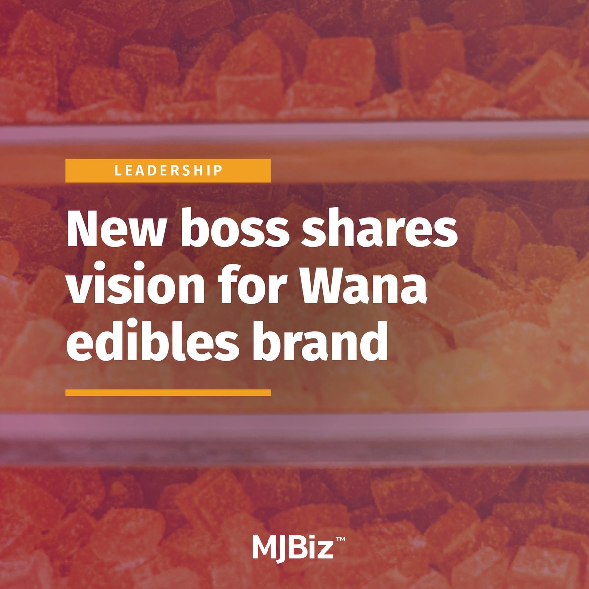 How do you replace an industry icon? Joe Hodas, the new CEO for @WanaBrands, shares top priorities, lessons learned under Nancy Whiteman, the company’s potential return to the California market and more. Check out what he had to say here: bit.ly/3ykBnYA