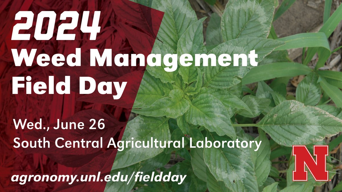 Nebraska Extension Weed Management Field Day is set for Wed., June 26, 2024, from 9 a.m. to 1 p.m. at South Central Agricultural Laboratory near Clay Center. ››agronomy.unl.edu/fieldday #UNL #UNLAgroHort @UNL_IANR @UNLExtension @UNL_CASNR