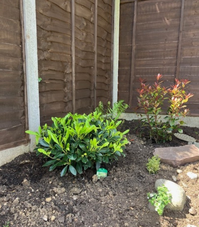 We received lovely feedback from Jenny and Brian about the flourishing Japonica shrub we gifted them upon completing their shower room renovation! 🌿

Head over to our Instagram to read the feedback!

#welwyngardencity #bathroomrenovation #kitchenrenovation #nonpareil