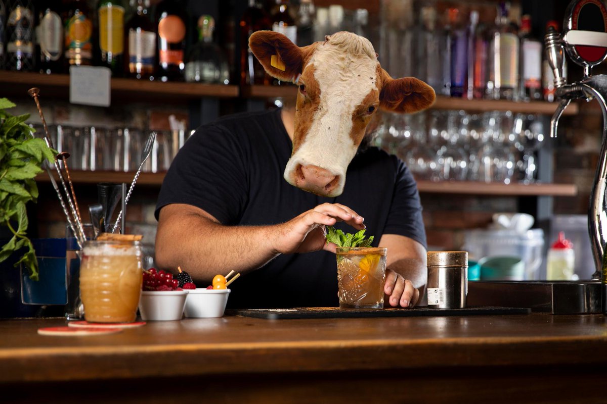 Health and Life Sciences Public Engagement (@livuniengagehls) on Twitter photo 4 animal science talks <a href="/HindertonA/">Hinderton Arms</a> next Tuesday!
🐈⬛ It's Hip and Humerus
🐄 Wasting Away
🐴 Why the Long Face?
🗃️ The Fur Files
If you want to know more about our furry (or hairy) friends, pop down to Neston for <a href="/pintofscience/">Pint of Science UK</a> and a cheeky bev! tinyurl.com/5ev8pcbu 4 animal science talks <a href="/HindertonA/">Hinderton Arms</a> next Tuesday!
🐈⬛ It's Hip and Humerus
🐄 Wasting Away
🐴 Why the Long Face?
🗃️ The Fur Files
If you want to know more about our furry (or hairy) friends, pop down to Neston for <a href="/pintofscience/">Pint of Science UK</a> and a cheeky bev! tinyurl.com/5ev8pcbu