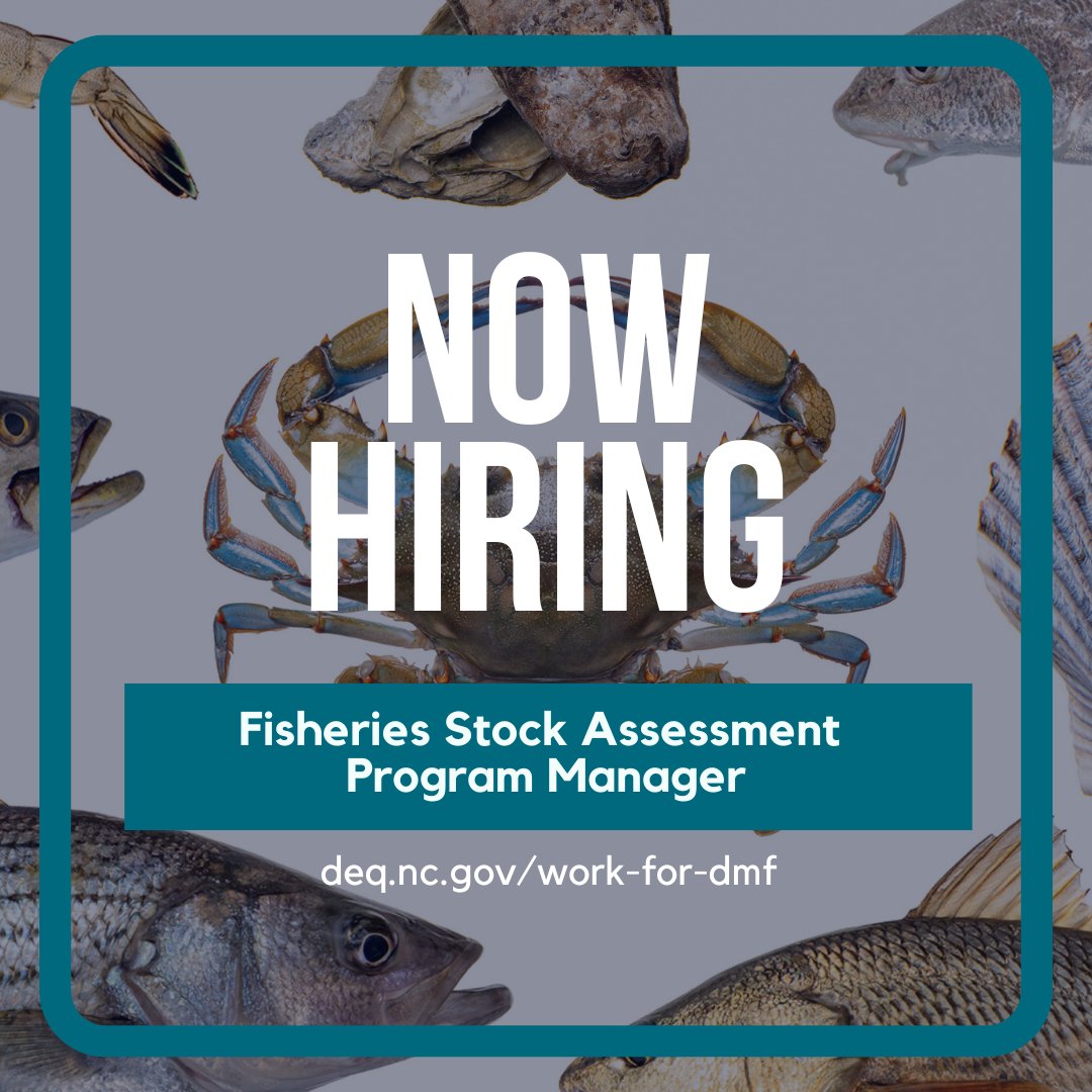 The Division is seeking a Purchasing Agent and Fisheries Stock Assessment Program Manager. Learn more and apply: deq.nc.gov/work-for-dmf #work4nc #ncjobs #ncworks