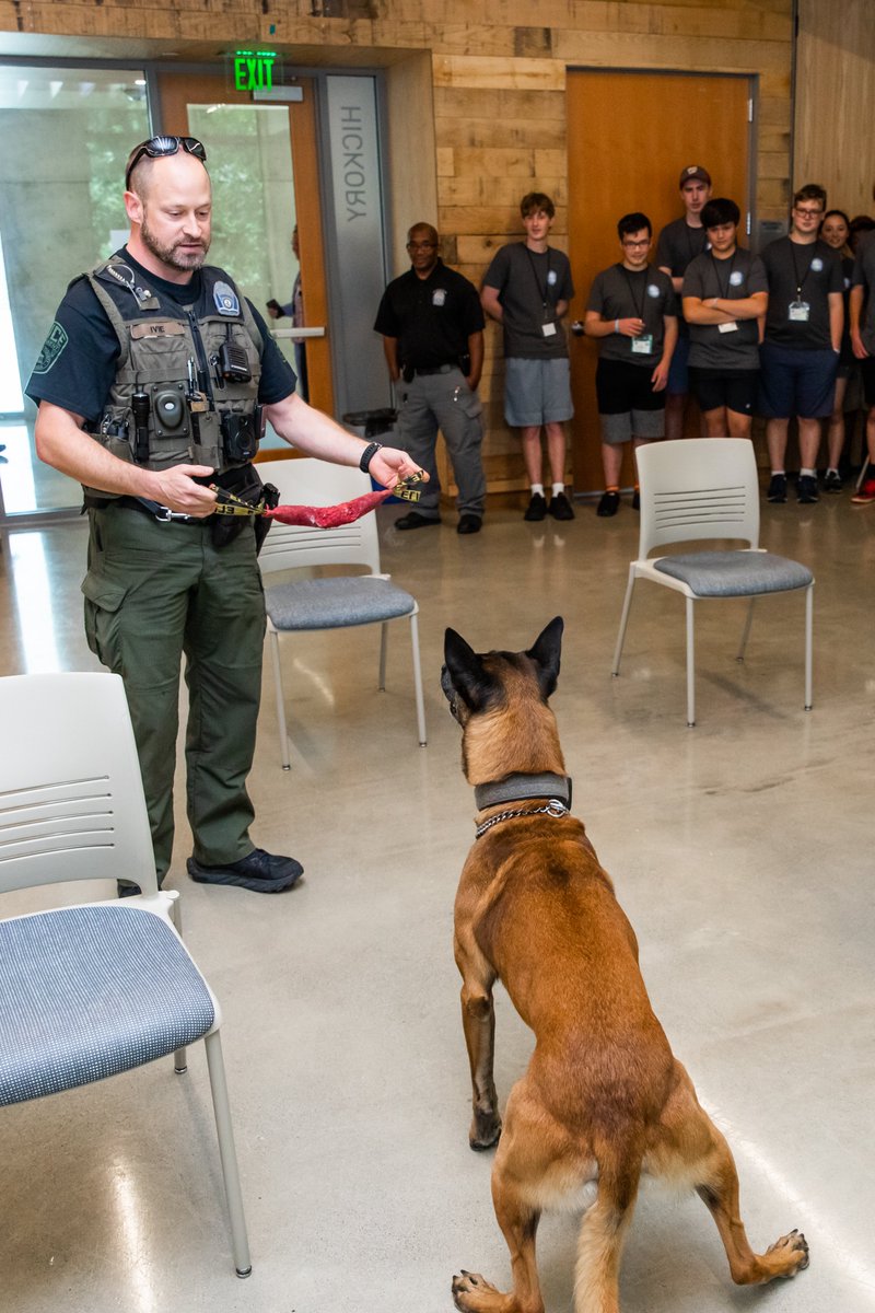 ArlingtonCountyPD tweet media