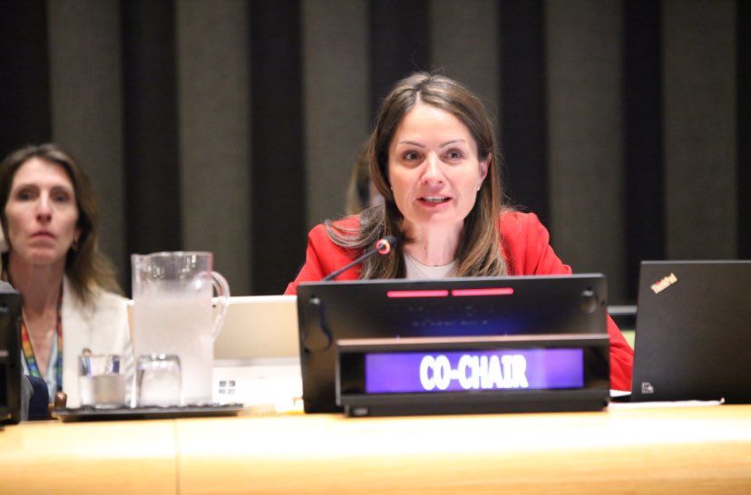 Opening of the 9th Multistakeholder Forum on Science, Technology and Innovation for the Sustainable Development Goals (STI Forum), co-chaired by Amb. King of SVG and Amb. Lassen of Denmark <a href="/Denmark_UN/">Denmark in UN NY🇩🇰</a> 
Also attended by the PGA <a href="/UN_PGA/">Annalena Baerbock</a>