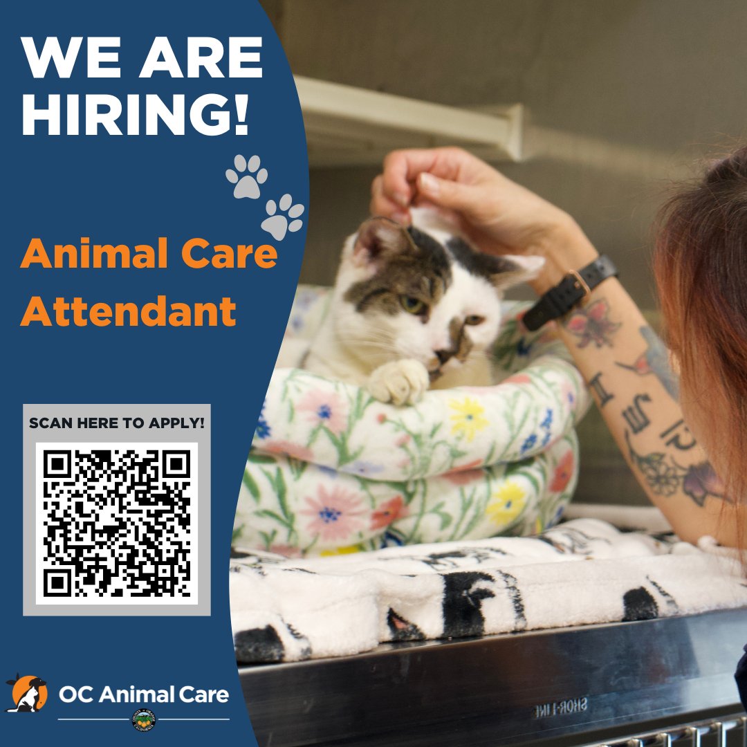 Are you passionate about animal welfare? OC Animal Care is looking for compassionate individuals to join our team as an Animal Care Attendant! Apply today and help us provide the best care possible! 🐾