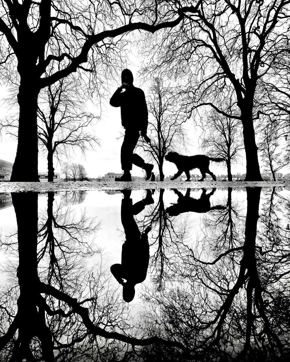 Walkies.

emmafwright.com/home

#ShotoniPhone #StreetPhotography #monochrome #filmnoir #noir #bnw #blackandwhite #silhouette #mansbestfriend #reflection #dogwalking #trees #streetlife #streetshot #streetphoto #emmafwright #Nottingham