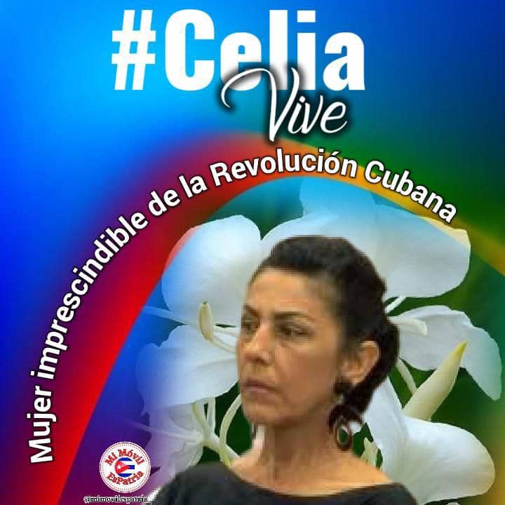 Los trabajadores del sector deportivo en San Luis,Pinar del Rio,recuerdan hoy a Celia Sánchez Manduley,ejemplo de dignidad y heroísmo.
#InderSanLuis
#PinarDelRio
#Cuba