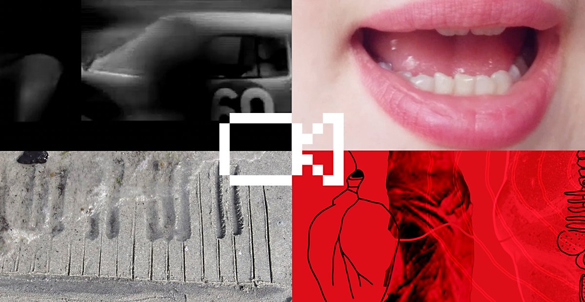 [15.05 FINISSAGE HTMLLES 2024]

Dernière chance de visiter l'exposition  
ACTS OF MOVEMENT / MOUVEMENTS PARTAGÉS 
chez Ada x de 10h à 18h45 

LES MOUVEMENTS QUE NOUS SOMMES
Projection au <a href="/GIVIDEO/">GIV VIDEO</a> à 19h 

htmlles.net/calendrier/les…