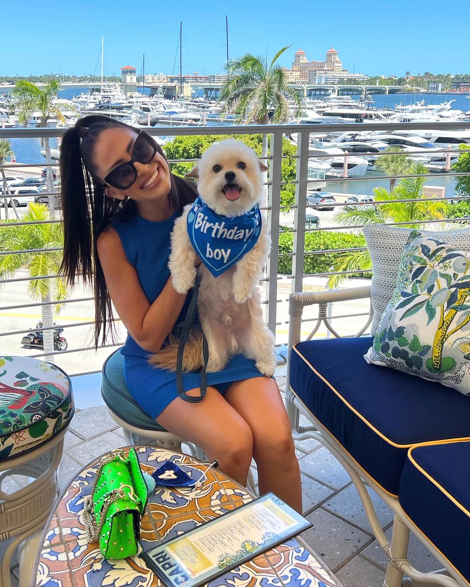 Grab your besties (furry besties count) and head to Bar Capri, #DowntownWPB's newest rooftop experience, for good vibes and great drinks! 🍹 Visit DowntownWPB.com/HappyHour for a list of local happy hour deals. 📷: @gianna_lucia621 (via Instagram) #ThePalmBeaches