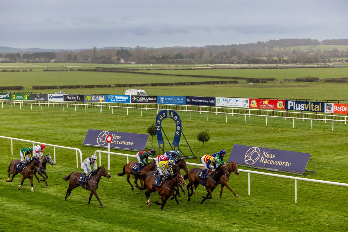 Declan Landy Fencing will sponsor the Nas Na Laighean Premier Handicap on Saturday ⭐️You will see plenty of their top-quality work around our course from safe stud railing to our permanent signs rail View declarations for the €45,000 Handicap here 👉shorturl.at/npFP7