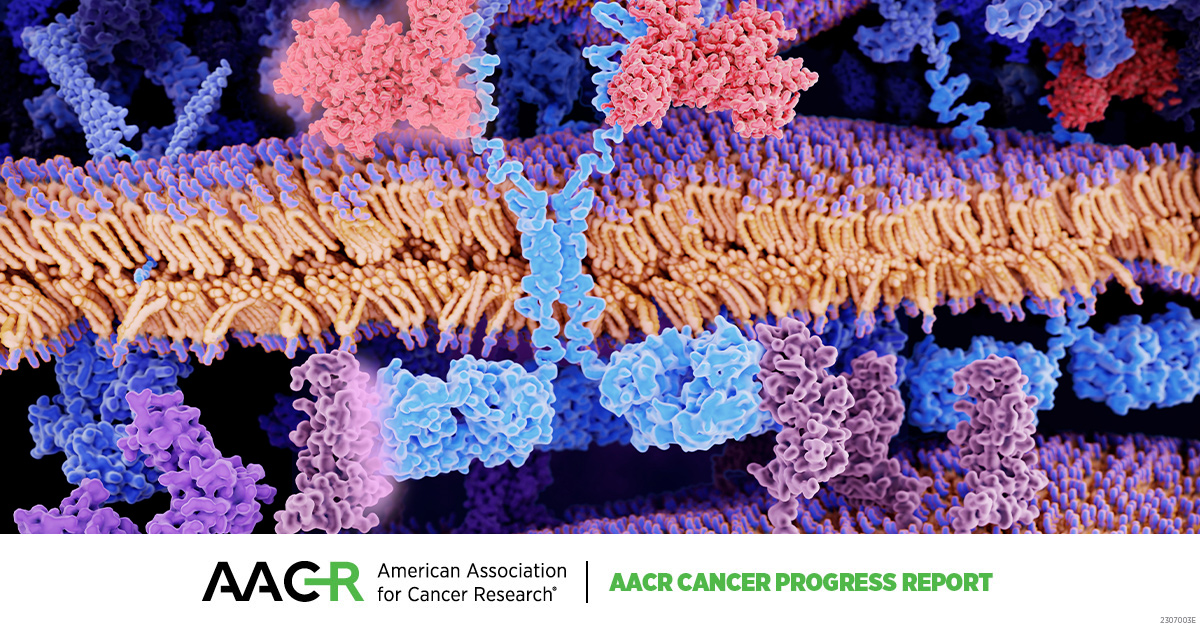 Cancer immunotherapeutics, which unleash a patient’s immune system to fight the disease, have emerged as one of the most exciting new treatment approaches. Learn more in the @AACR Cancer Progress Report: bit.ly/4a9k1et