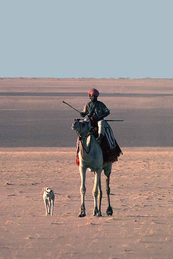 Bedouin riding with hunting rifle accompanied by his Saluki, the traditional desert dog. Saudi Arabia, Empty Quarter, 1987. 🇸🇦

📷: Tor Eigeland