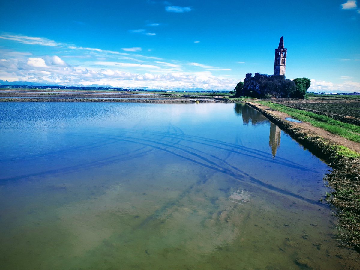 Ecclesia ruralis Sancti Antonji” (XV sec) La chiesa che galleggia 📷 Casaleggio, risaie del novarese