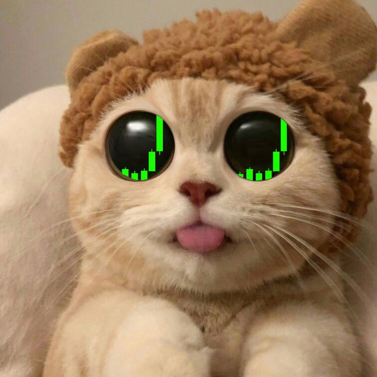 JiaSolana's tweet photo. @MikeyTrading Same same 😻 https://t.co/UcGLlvAZwH