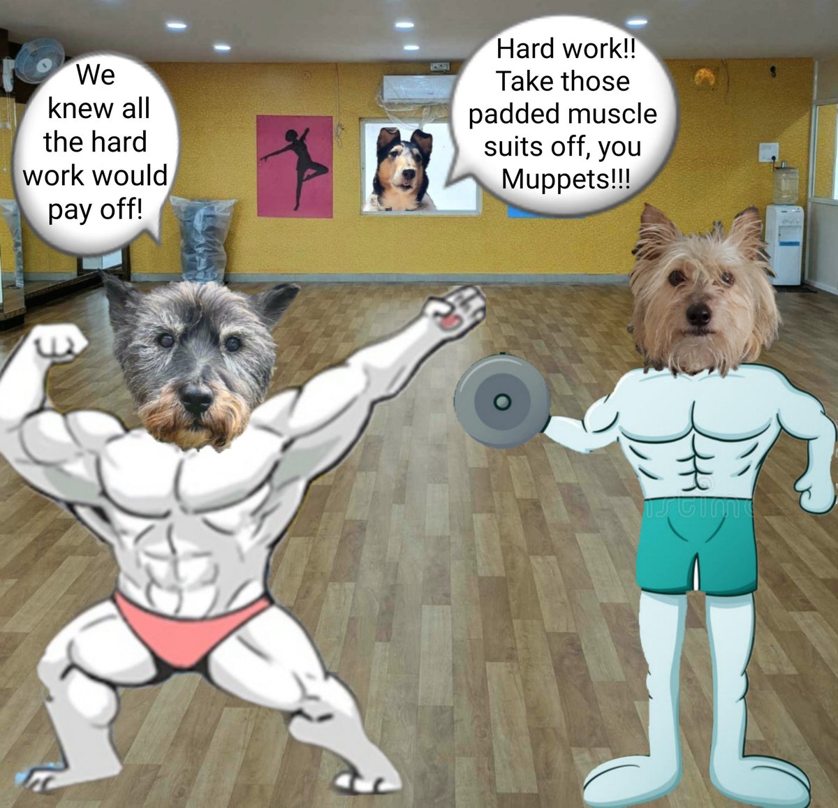 Throwback Thursday when me and Rupes went to the gym to put in some hard work....... our muscles were the envy of many a fella! No Miss Twiggy, they aren't padded suits!!
#OrAreThey 
#ThrowbackThursday #BovverBoys @jennystape #thosewerethedays #FeedMeNow #memories #backintheday