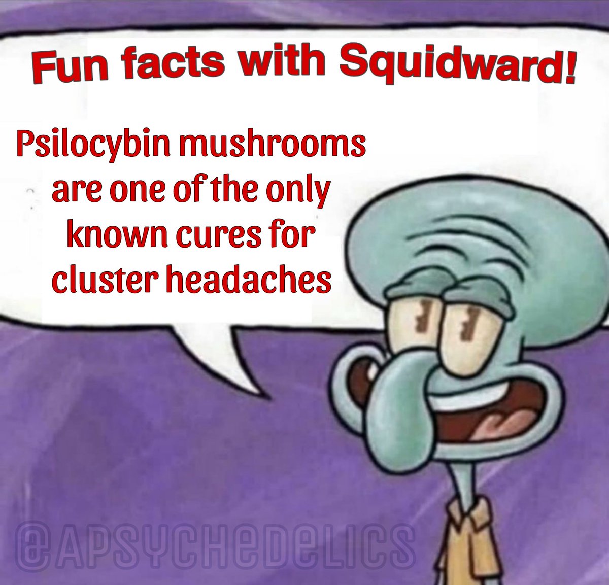 Fun facts with Squidward! 🦑🍄