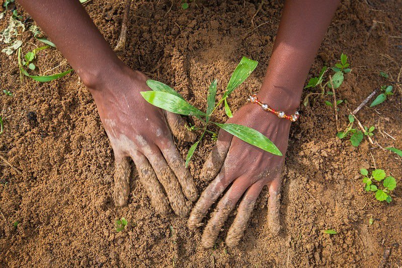 ❤️Standing in solidarity with Kenyans impacted by the devastating floods. Having called Nairobi home for the past year since joining @CIFOR_ICRAF, my heart goes out to all those affected. Let's unite and plant the seeds of change for a resilient future.