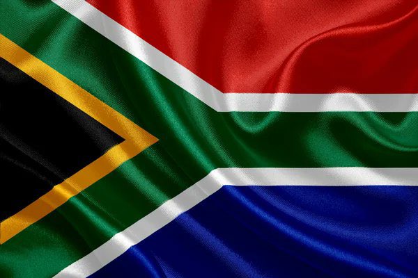 A pledge to 🇿🇦 & country! What democracy should allow you to burn our flag?? #VoetsekDA