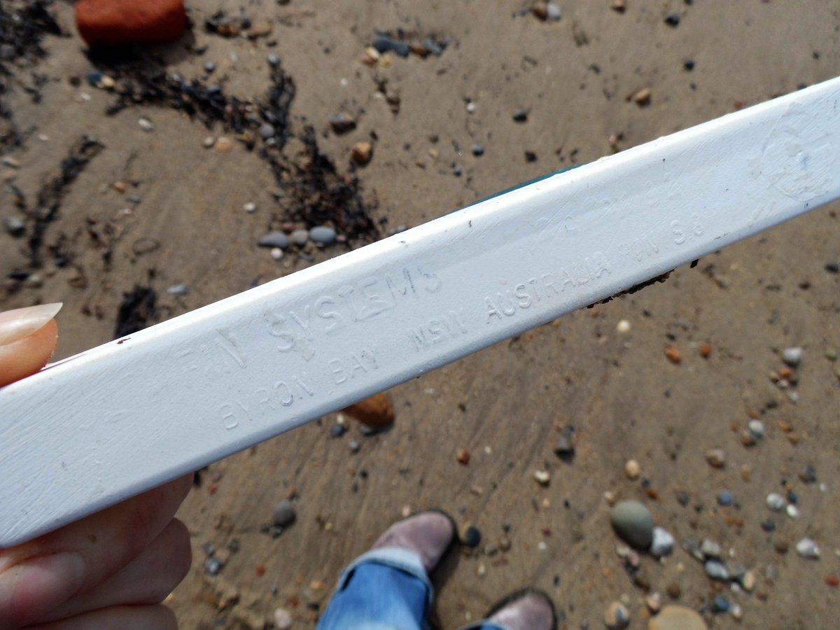 From the Archives: Shark Fin!!! #beachfinds #cullercoats #shark #oceanplastic #curiosities #beachcombing