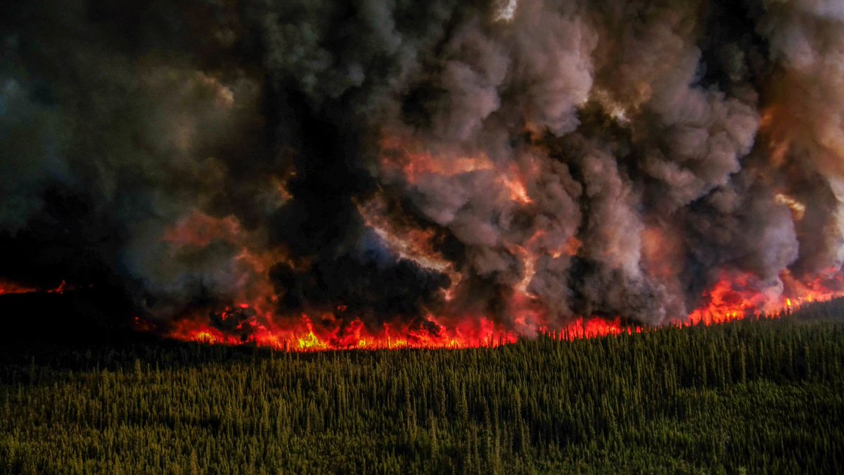 The Liberal govt says the best way to stop global climate change is to pay them a carbon tax and if conservatives scrap the tax, the entire country and possibly the world will burn to the ground from forest fires. 

I wish this was satire but this is how insane these people are.