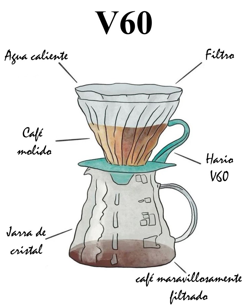 TeafortwoLugo's tweet photo. La anatomía de un café en V60 😉
#v60 #cafe #purocafe #artesano #arabico #coffeshop #cafenatural #gourmet #cafeartesano #culturadecafe #cafeteras #tiendaonline #cafedeespecialidad https://t.co/d70l8TUDdC