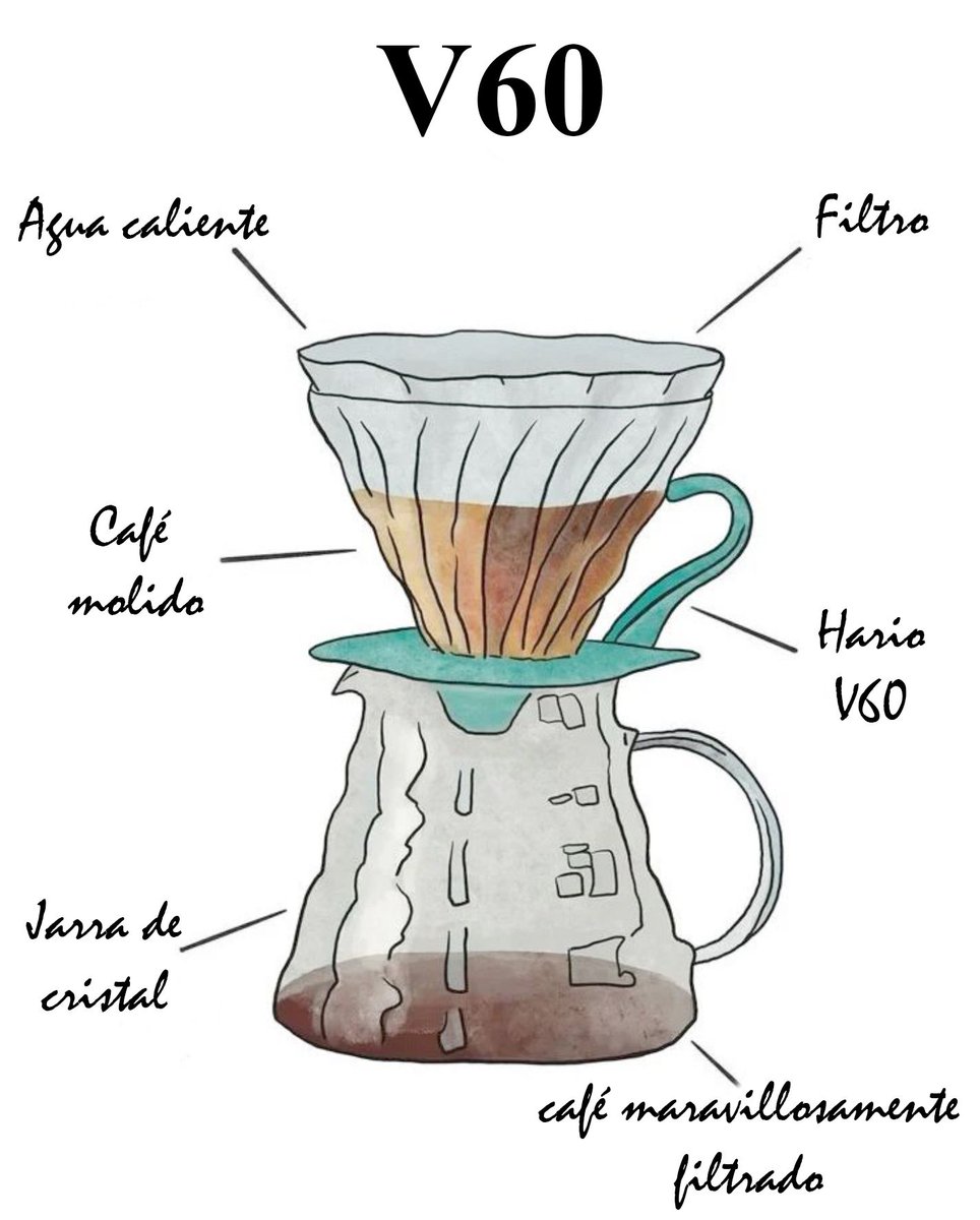 La anatomía de un café en V60 😉 
#v60 #cafe #purocafe #artesano #arabico #coffeshop #cafenatural #gourmet #cafeartesano #culturadecafe #cafeteras #tiendaonline #cafedeespecialidad