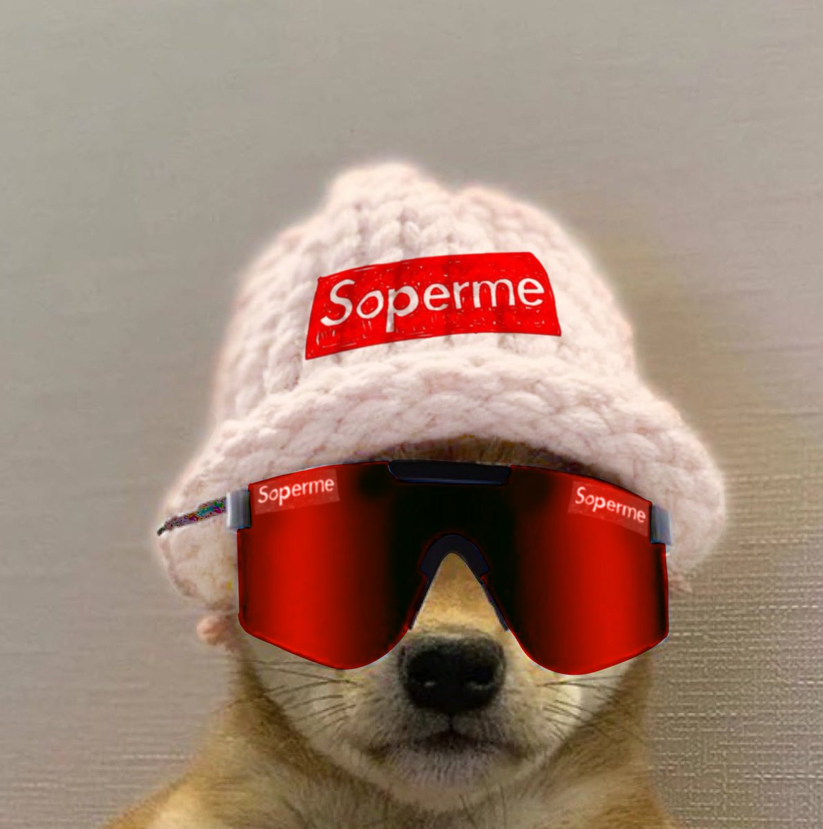 There's a dogwifhat.

But what about a dogwifswag?