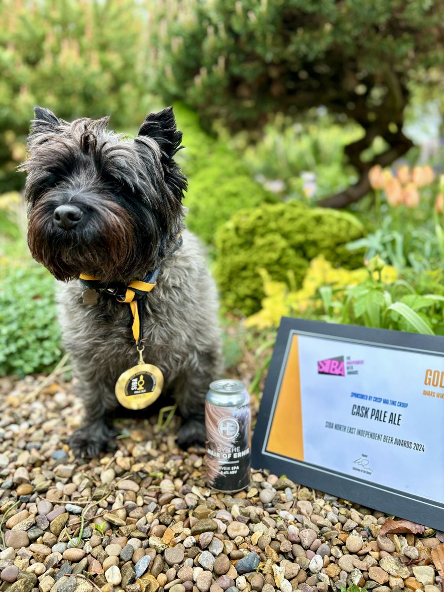 We are loving the Good Boy content from SIBA NE Independent Beer Awards winners @HorsforthBrewer 📸 🐶 🥇