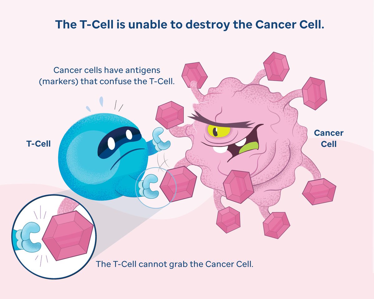 Matty FatStaxs tweet media