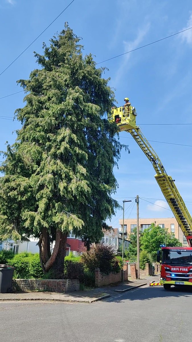 Firefighters were called to rescue an injured cat in distress up a tree this morning in #Orpington. With help from our colleagues @LFBLEWISHAM @bexleyfire we utilised an aerial appliance to ensure the cat was safely back to their owner.  #NotJustFires @LBofBromley @LondonFire