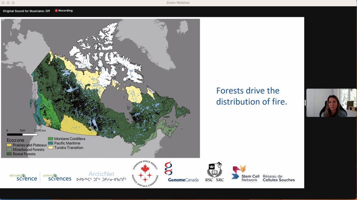 Ellen Whitman from @NRCan Canadian Forest Service talks about the role of fire in Canadian forests @LetsTalkScience