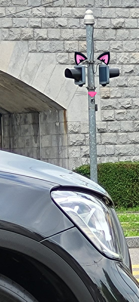 Sir Kaktus tweet media