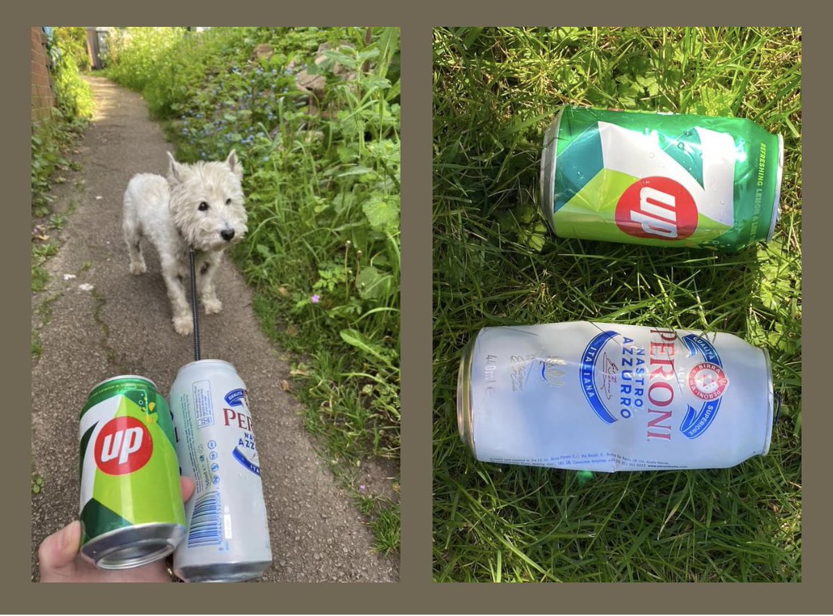 9th May - took a slightly different route on our morning dog walk @pawsonplastic 🐾 and todays litter promoted to ♻️ #BePartOfTheSolutionNotThePollution ♻️ #LoveRossHateLitter 💚 #RCLCUC 🚯🚮💜 @SunshineRadio @KirstieMAllsopp @scott_mills @thismorning @ChrisMoyles @vernonkay