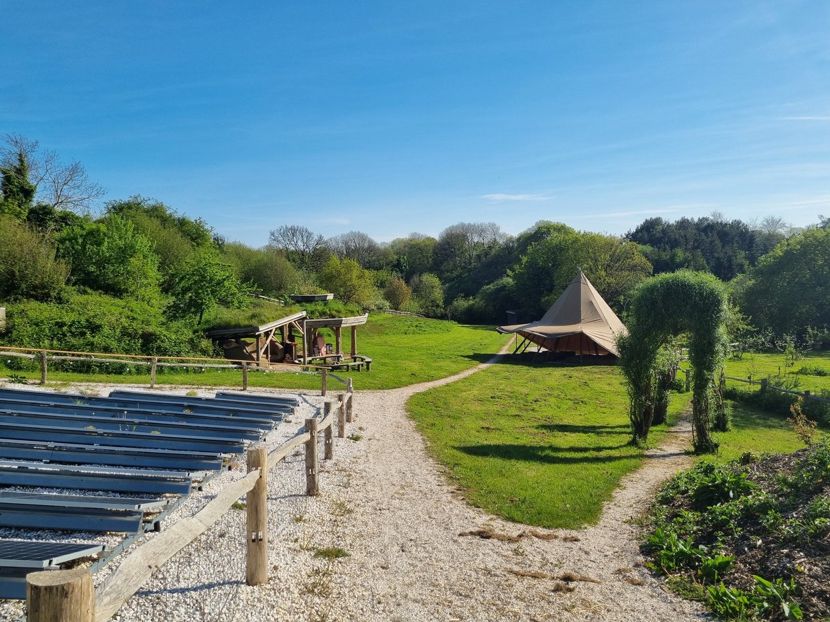 Down to Earth tweet media