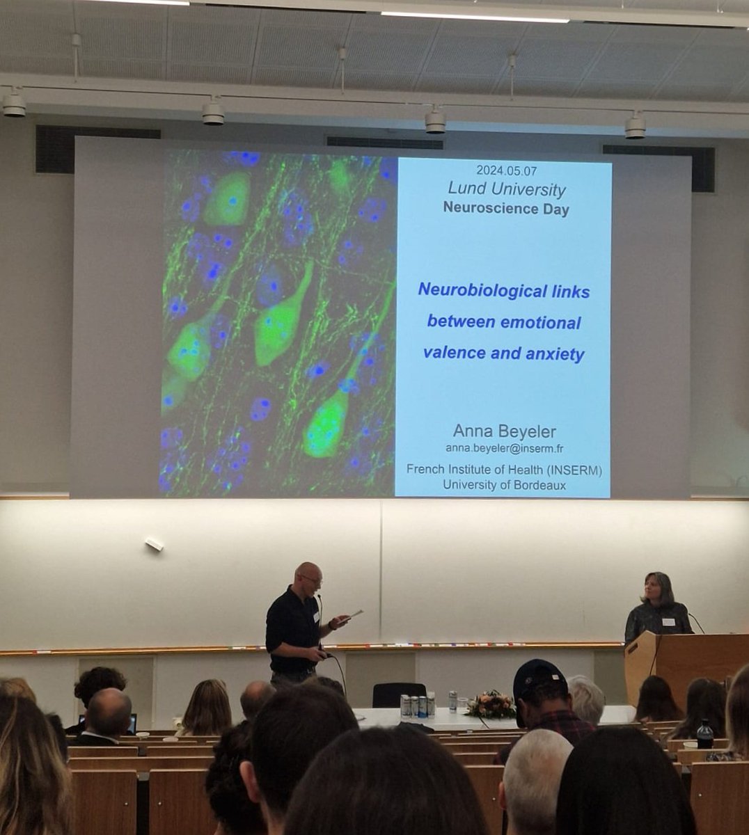 anna_beyeler's tweet photo. Had a wonderful time at the 27th Neuroscience Day  @lunduniversity 🇸🇪
Inspiring talks by @ErnestArenasSWE @LignaniLab_UCL and @lab_schaefer, as well as enriching discussions with brilliant trainees.
Thanks to the Segerfalk Foundation and our host Andreas Heuer 🙏
#LundNeuroDay https://t.co/bBTu3UyQdC