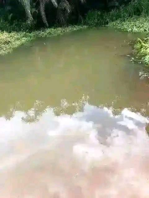 ITUMELENG🕯️🌊 tweet media