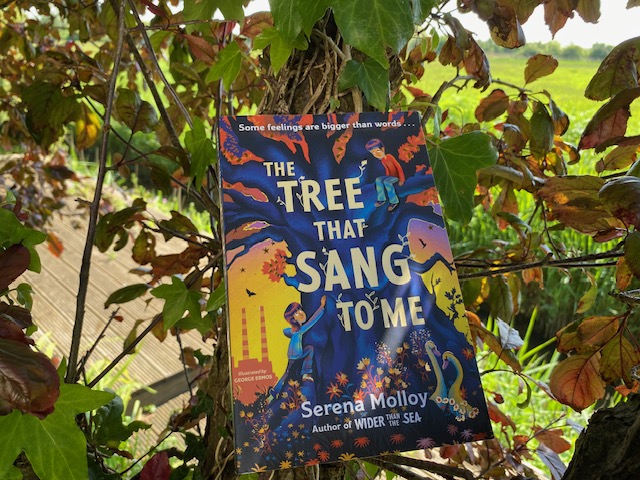 Today's review...'The Tree that Sang to Me' @happy_scribbler @HachetteKids Gorgeous! throughthebookshelf.com/reviews/the-tr…