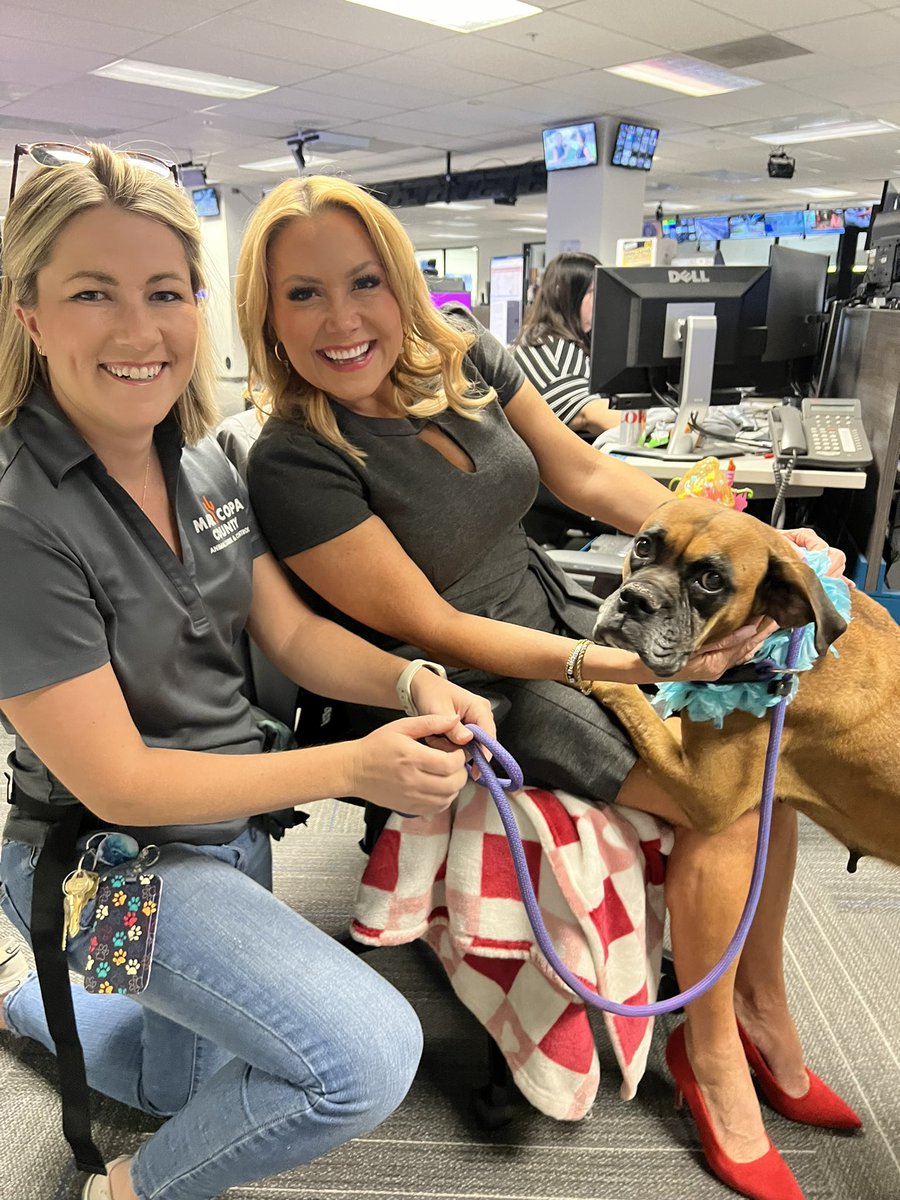 It’s a good day when you get to see Kim Powell and meet Hazel— who’s a senior dog looking for a loving home! Maricopa County Animal Care & Control