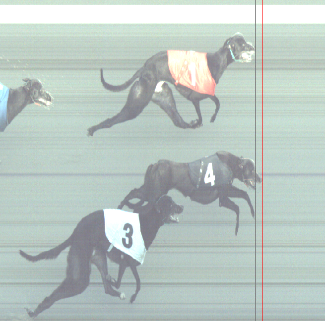 Photo finish of Race 1 1st place - T4 - Dilligaf Faith 2nd place - T1 - Wheres Speedy 3rd place - T3 - Jackpot Reward