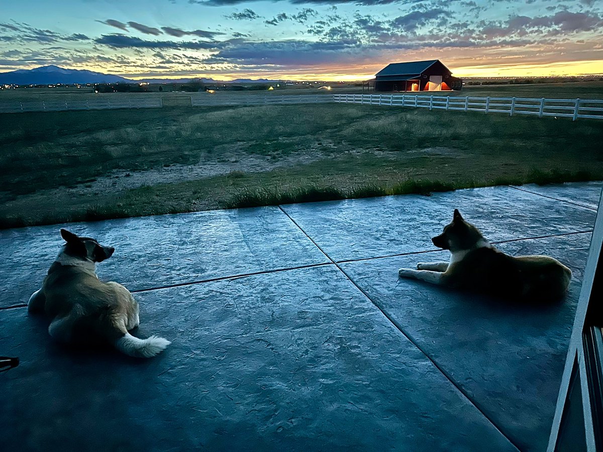 Picturesque moments like this is why I feel so at peace on my ranch with my family and my dogs right by my side. #ImHome #RanchLife #Family #Peaceful #MyDogs #KyraAndSancho #Sunset #EveningMountainView #AtPeace