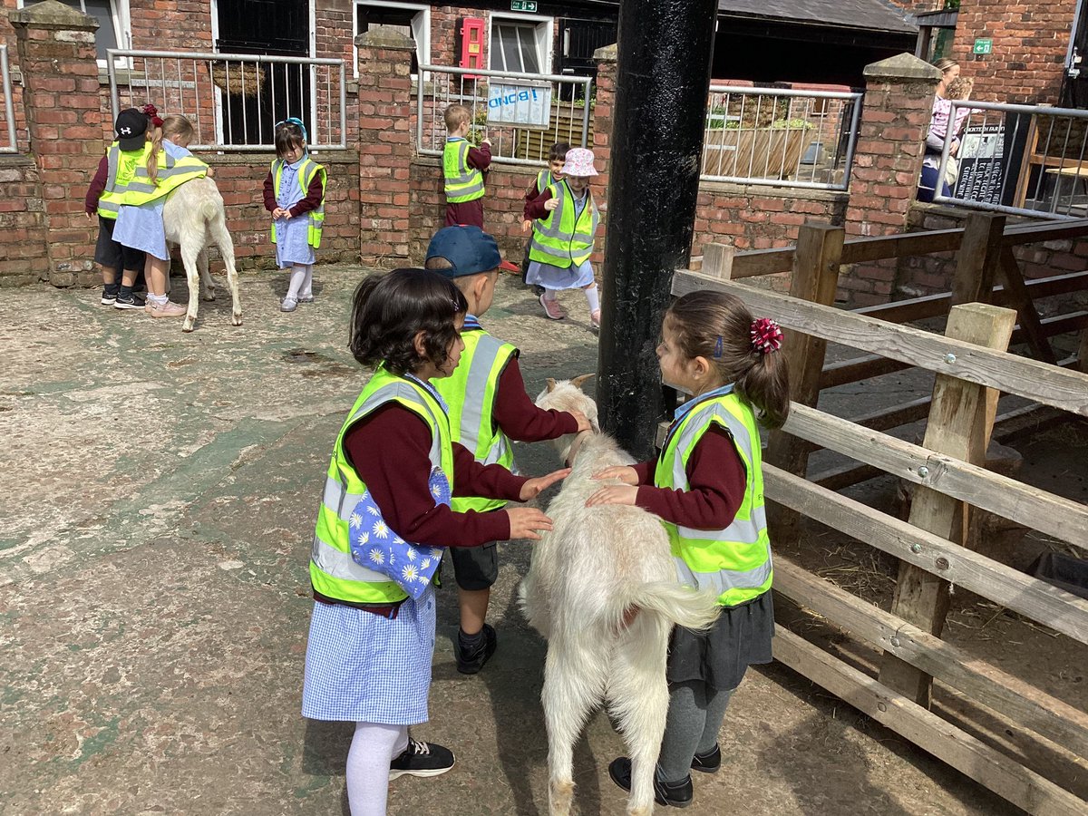 Faith Reception tweet media