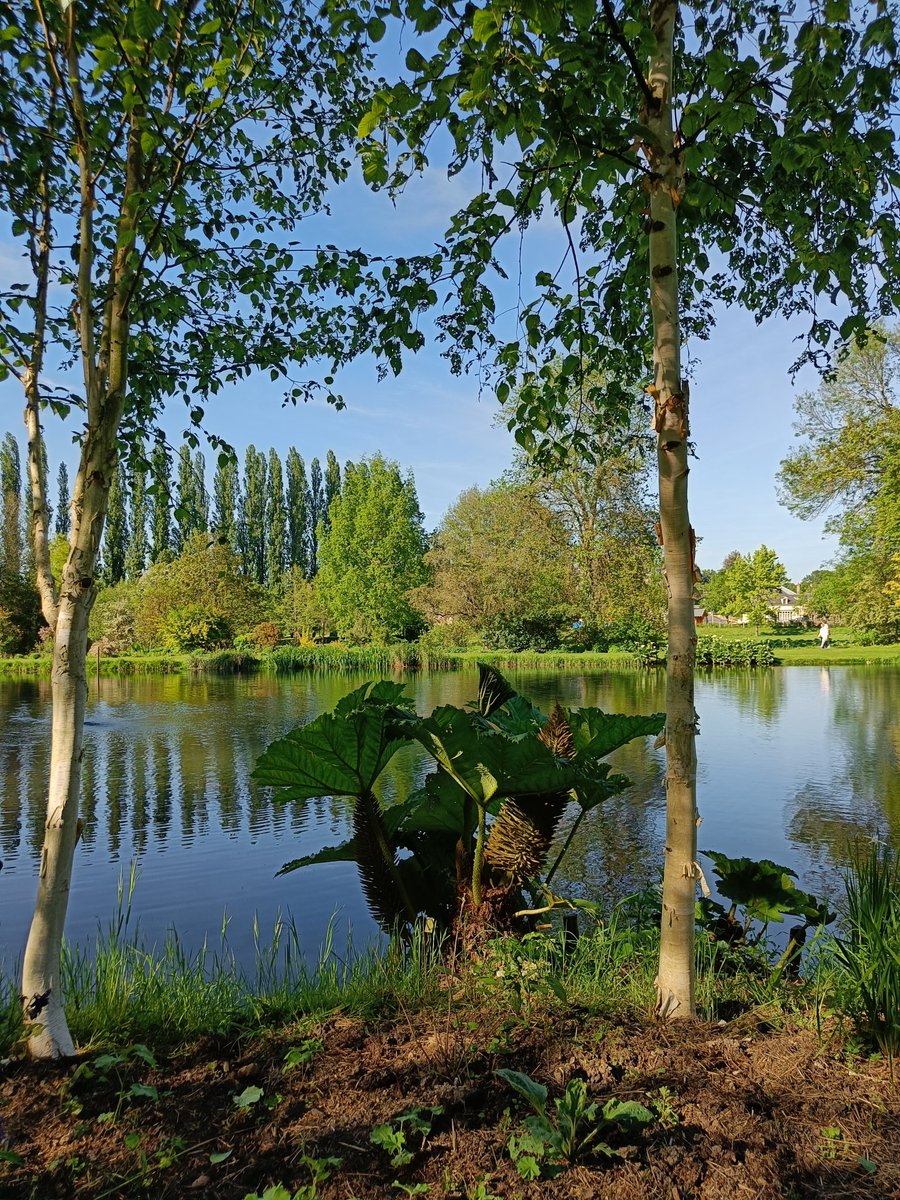 Découverte des jardins du Plessis Sasnières (Loir-et-Cher), jardin remarquable.

Magnifique jardin à l'anglaise XXe, œuvre de Rosamée Henrion. Très calme en fin d'après-midi aujourd'hui (et on peut rester après 18h00). 

J'ai adoré !! 🥰