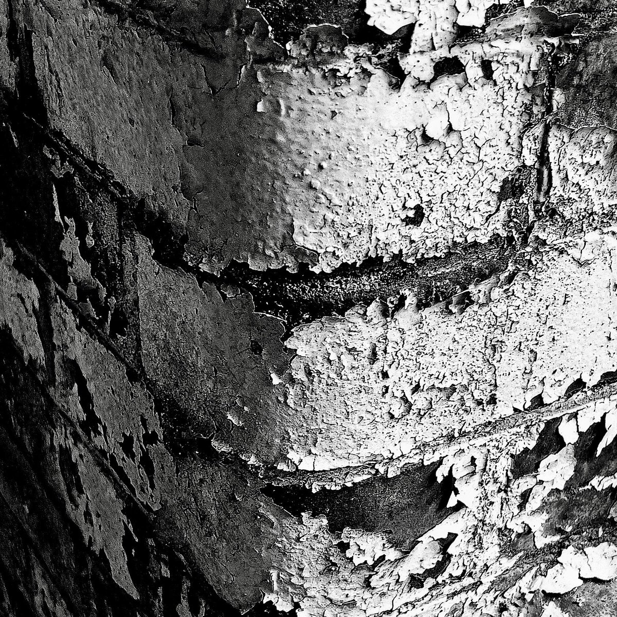 Grunge Corner
#brickwork #brickwalls #grunge #peelingpaint #rawphotography #shotoniphone