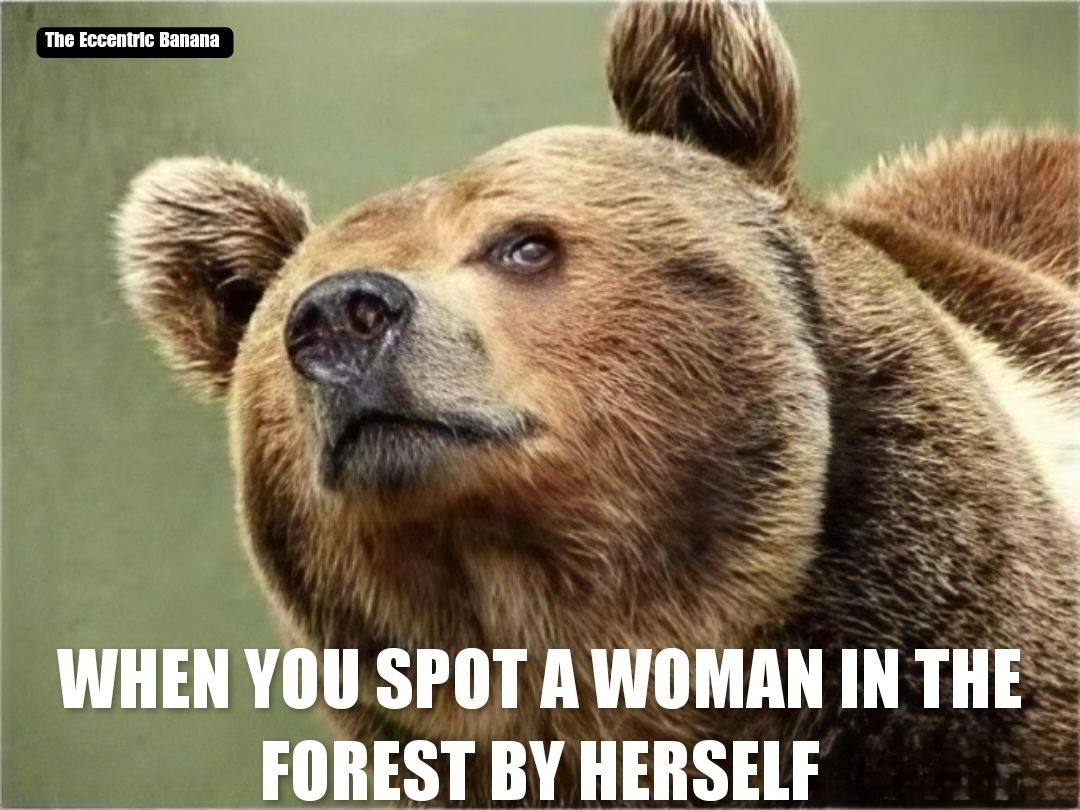 Libs be crazy 😆 
#Memes #Bear #Bears #Eve #meme  #dankmemes #funnymemes #funny #humor #edgymemes #dailymemes #lol #BearOrMan #offensivememes #lmao #jokes #StellarBlade